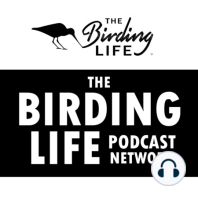 Episode 6 - Mark Anderson (CEO Birdlife South Africa)