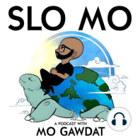 Mo Gawdat (Part 2) -  Mo's Lessons Learned from Guests on Slo Mo in 2020