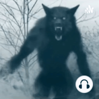 Stories Of Black & White Eyed Children. What Are They? Story Of Possible Dogman Encounter.