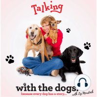 Magic Time: Hawk Koch and dog Willard Talk Dog Stories and Memoir