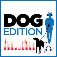 Mushing Dogs in Alaska | Maxine the Fluffy Corgi | Dog Edition #16