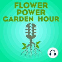 Flower Power Garden Hour 75:  Listener Q&A, Winter vegetable garden focus