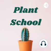 Plant Myth or Not; Can Plants Smell? | Ep. 52