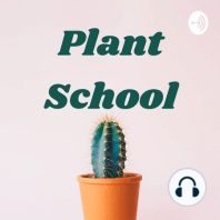 Plant Myth or Not: Do Houseplants Soothe Allergies? | Ep. 77