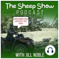 Australia's first Virtual Sheep Show  - The Silk Southdown Rona Show event