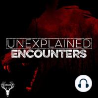 351 | NEW Unexplained Creature Encounters and Disturbing Stories from England