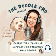 Pt. 2: How to Teach Your Dog to Come When Called: Top Trainer Lisa Lyle Waggoner Breaks down her 12 Rules to Rocket Recall