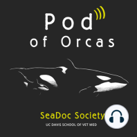 1. Killer whales and culture, with Dr. John Ford