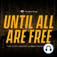 EP 13 | Jamie Beck – Free To Thrive