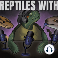 Reptiles With HSR, Mel & Stefan: TARANTULAS - S00EP17