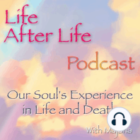 Life After Life Podcast - Soul contracts and pods