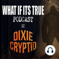 Dixie Cryptid Marathon 132