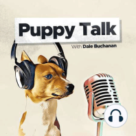 Review of the Top 5 Puppy Talk Episodes