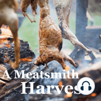 Ep. 28:  Raising, Slaughter and Hanging of Beef, Part 1