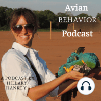 Member Interview: Adopting a bird during the pandemic
