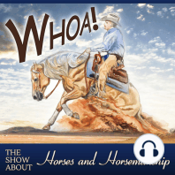 Colic Surgery Decision with Listener Alyssa Severeid