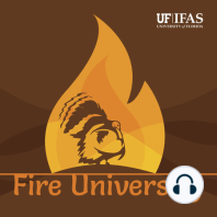 #13 | How fire affects predators, ft. Dr. Michael Cherry