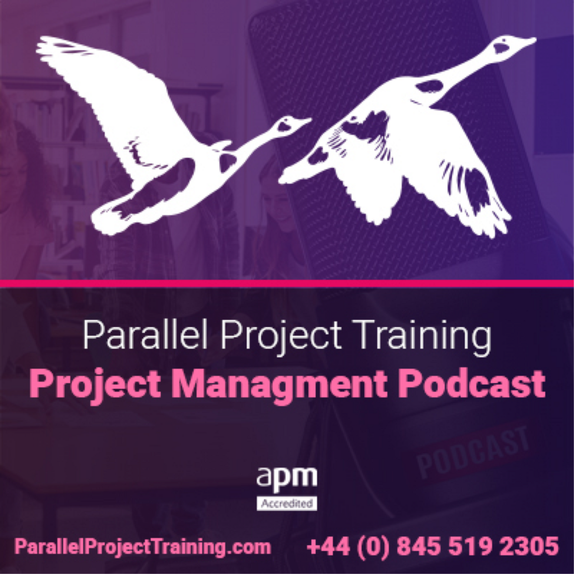 APM Fundamentals Roles | APM Project Management Training Podcast