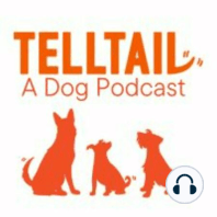 Episode 2: Sheba: What I Learned from the Family Dog
