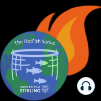 Introducing the HotFish Podcast Series