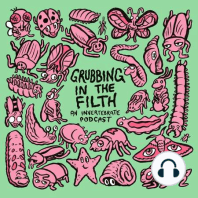 Grubbing In The Filth: An Invertebrate Podcast (trailer)