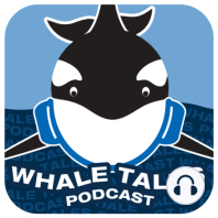 Episode 028-Fin Whales