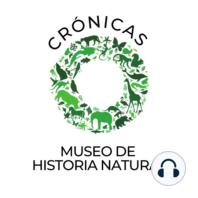 Episodio 9. La importancia de la Biodiversidad en México y en el mundo.