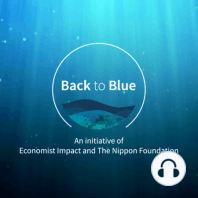 Back to Blue at the UN Ocean Conference