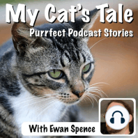 My Cat’s Tale – Teddy, Sushi, and the Cat Sitter
