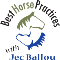 Sex, Power, and Best Horse Practices? Yes