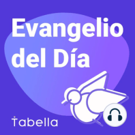 Evangelio del Día Lunes Abril 27, 2020 | Juan 6:22-29