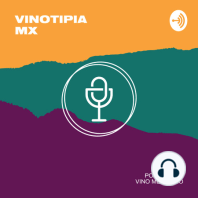 Ep. 14 El futuro del vino mexicano en época de COVID y los beneficios del e-commerce Ft. Vid Mexicana