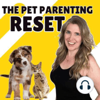 Welcome to the Pet Parenting Reset