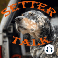 Episode 18: Bailey Petersen, Field Biologist & Llewellin Setter owner.