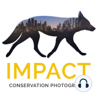 5 Mindset Shifts to Become a Pro Conservation Photographer