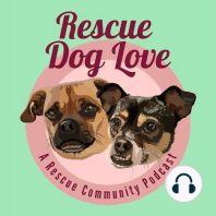 Raising a pack of 15+ rescue dogs with Angela the Dog Mom