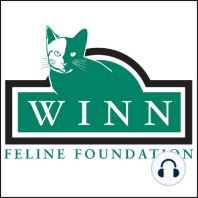 Winn Feline Foundation 39th Symposium - "Ending FIP, Is There Hope?", Part Two