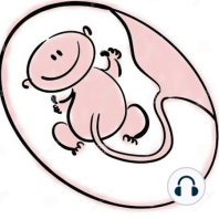 Evaluación Fetal- Maniobras de Leopold y Perfíl de Biofísico fetal, fácil y relatado.