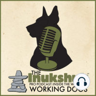 IPPC: Episode 7 - From Track to Trucks, with Ryan Mulkahy, Founder of Born To Run Kennels