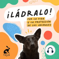 Temporada 8 - ¿Te gustan los animales? Protégelos consumiendo responsablemente