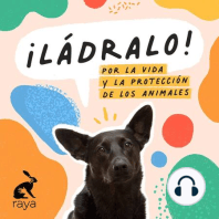 Temporada 13 - Protección jurídica y legal de los animales en Colombia