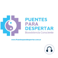 Programa N° 31 de Puentes para Despertar