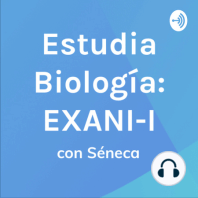 La transferencia de energía y biomasa entre los organismos ?