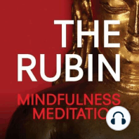 Mindfulness Meditation 11/18/2015 with Sharon Salzberg