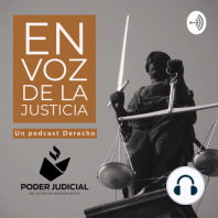 E.3 Ordenes de Protección. ¿Qué son? De qué me protegen? ¿Cómo obtener una?