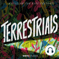 Terrestrials: The Guardian