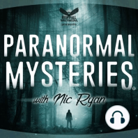 RWD} Strange Creatures, Shadow People In The Woods & Ghosts (ep240)