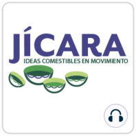 Jicarazo de nueva normalidad