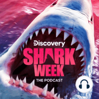 S3 Ep.21: Jeff Kurr on Filming a Life-Threatening Shark Encounter