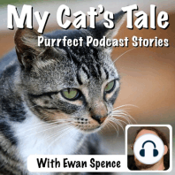 My Cat’s Tale – Stacy LeBaron and The Community Cats Podcast